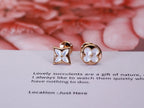 [LUXE JEWELRY]STAR AND SUN PINK GOLD MOP STUD EARRINGS