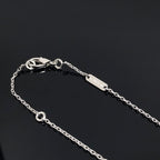 [LUXE JEWELRY]CLOVER PIETERSITE SILVER LONG NECKLACE