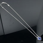 [LUXE JEWELRY]CLOVER PIETERSITE SILVER LONG NECKLACE