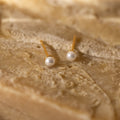 Dainty Pearl Studs